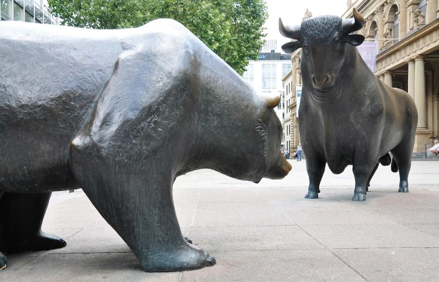 bear and bull in stock market