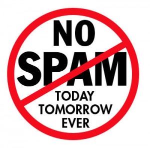 Stop spamming in wordpress