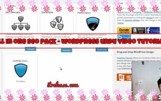 Wordpress urdu tutorial video of all in one seo pack