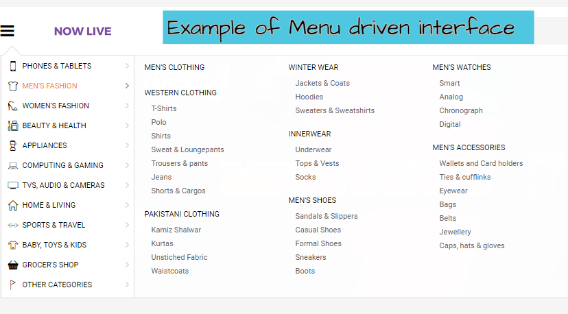 Example of menu driven interface
