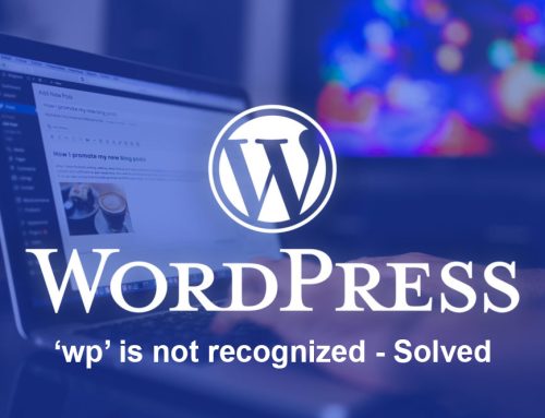 ‘wp’ is not recognized – Solved