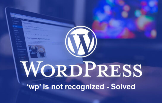'wp' is not recognized - Solved - IT Release