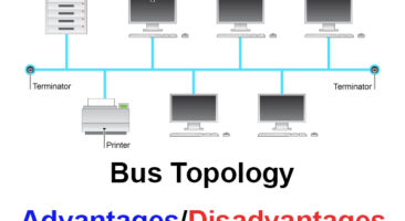 Bus topology features