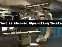 Examples of Hybrid OS