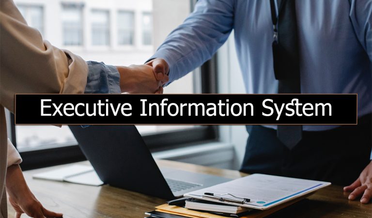 Examples of Executive Information System (EIS)