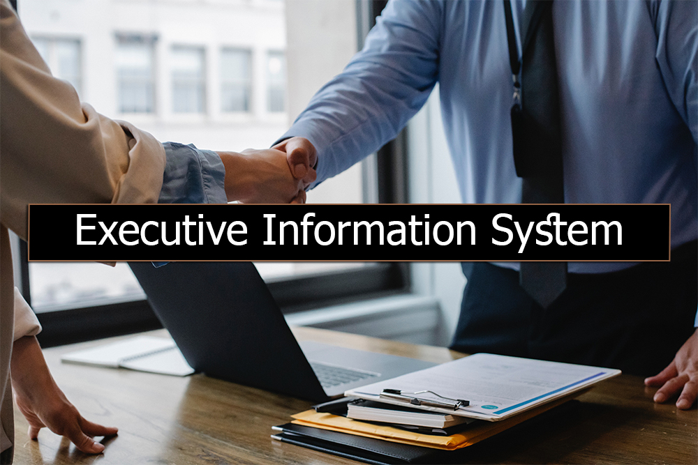 Examples of Executive Information System (EIS)