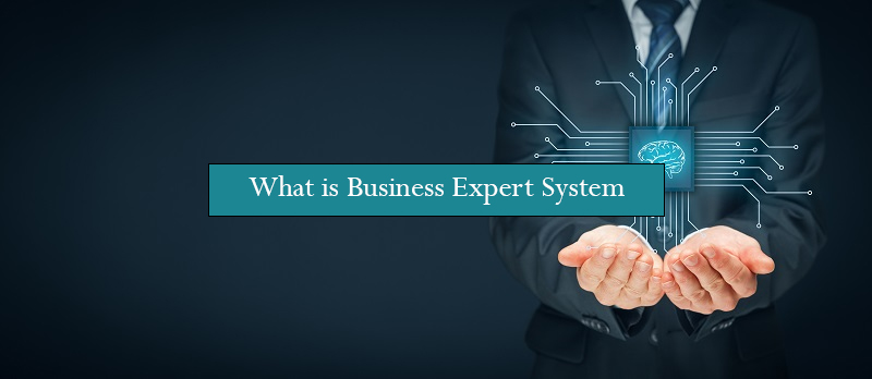Examples of business expert system